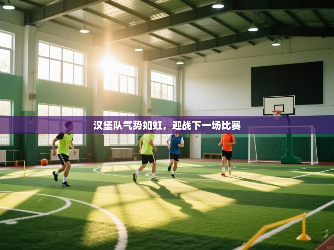 汉堡队气势如虹，迎战下一场比赛  第2张